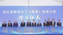 目前营业次要分为4大部门：处理方案（LiB材料、