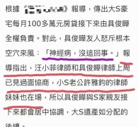 公司财政流水